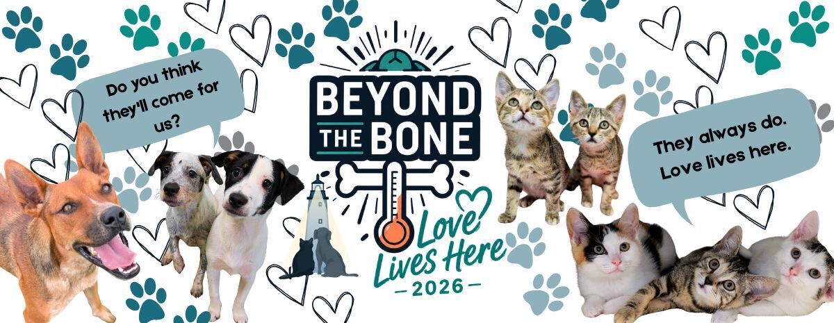Beyond the Bone: Love Lives Here